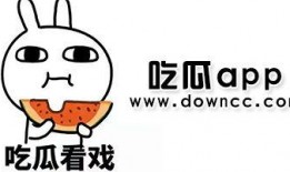 网红免费吃瓜软件下载,下载体验与热门功能一览